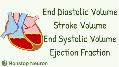 stroke volume vs end diastolic.